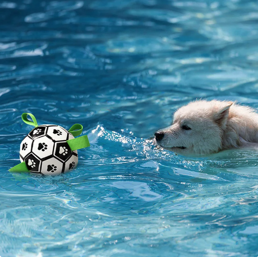 Interactive Soccer Brain Game for Dogs